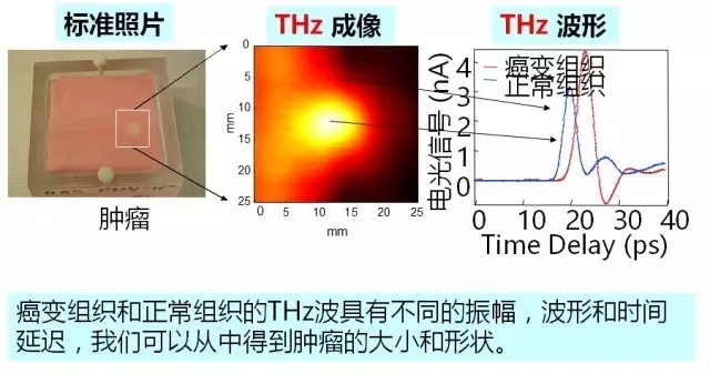 云联惠美日韩联手建6G联盟争夺未来6G主导权中国太赫兹技术率先反击